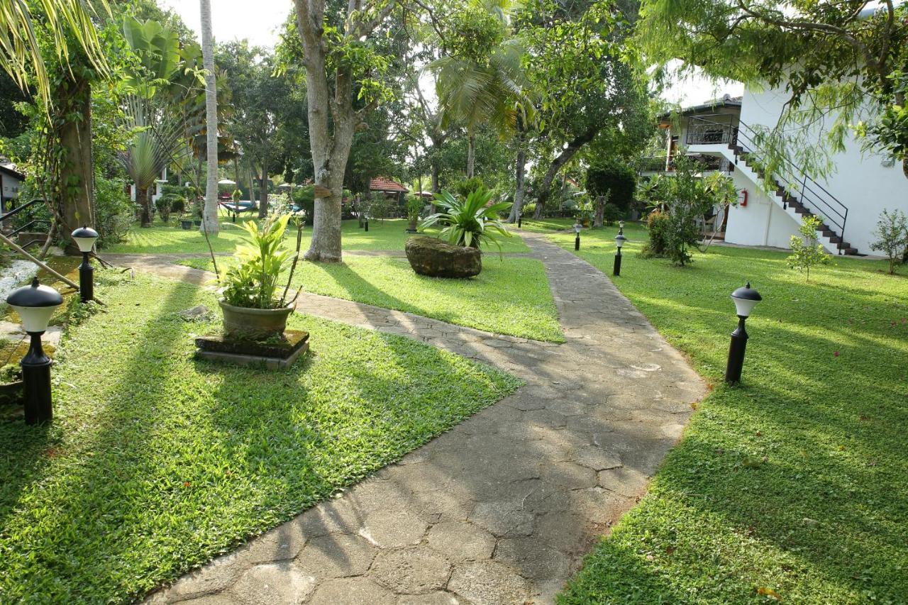 Ayurveda Centrum Lawrence Hill Paradise Hikkaduwa Buitenkant foto